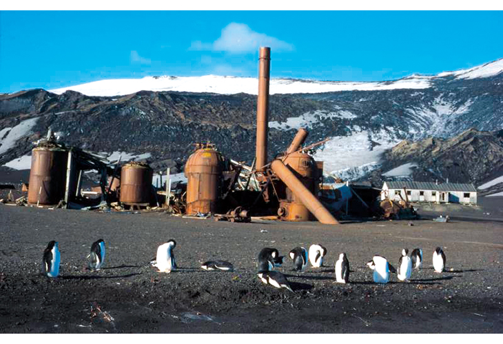 Figure 7.5 The whaling plant at Whalers Bay. Deception Island is an important Norwegian cultural heritage site.