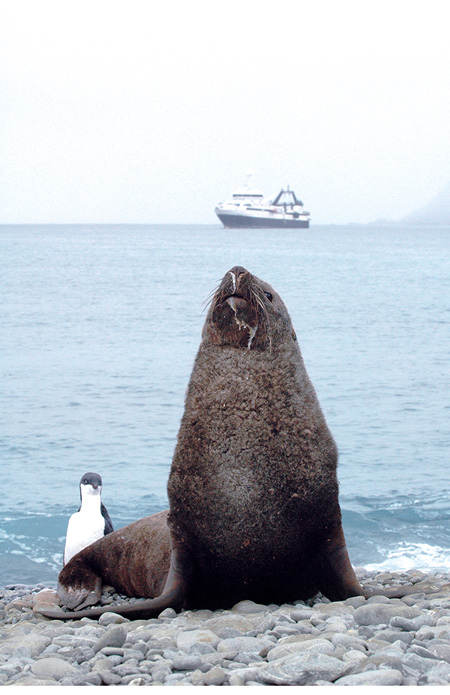 Figure 8.1 Norway is working to promote sustainable fisheries in the Antarctic.