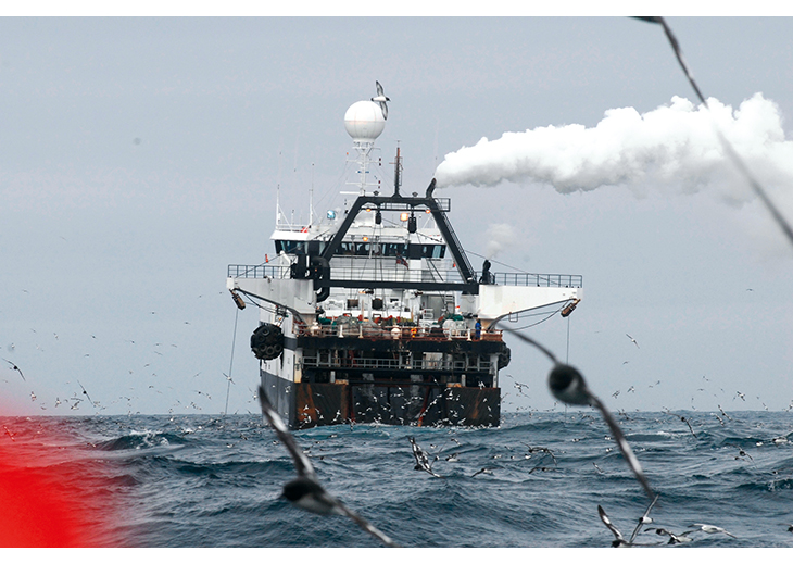 Figure 8.5 The krill vessel Saga Sea in action.