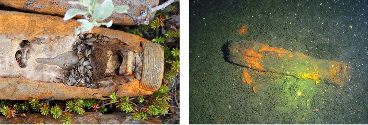 Foto til venstre viser en korrodert granatbøssing på havbunnen. Midt i granatbøssingen kan man se eksplosivene som små avlange kuler. På havbunnen rundt granatbøssingen vokser det flere grønne planter.

Foto til høyre viser korrodert hylse på havbunnen. Havbunnen er mørk. Hylsen er delvis opplyst av blitzen fra kamera.