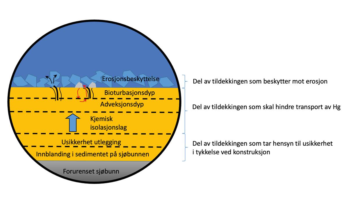 Illustrasjonen viser en sirkel med snitt av lagoppbygging for en tildekking. Nederst i sirkelen er det et grått lag som illustrerer den opprinnelige forurensede havbunnen. Over dette grå laget er det fem lag som er vist med gul farge. Hvert lag har en forklarende tekst. På det midterste laget er det plassert en blå pil som peker oppover. Over de gule lagene er det plassert et blått lag med klumpete sirkelformede  elementer. Over dette igjen er det blå farge som illustrerer havet. Til høyre for sirkelen er det en forklaring av de ulike feltene.