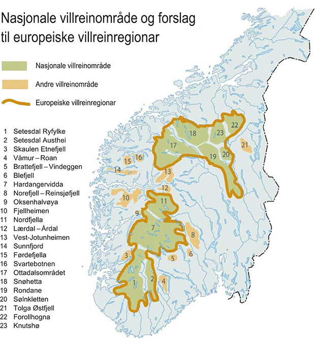 Figur 6.15 Nasjonale villreinområde og forslag til europeiske villreinregionar.
