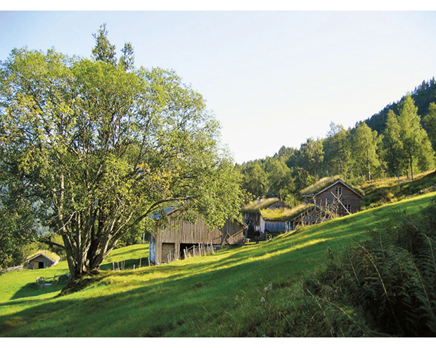 Figur 6.1 Fjellgarden Ytste-Skotet, Stordal, Møre og Romsdal, der bygningene og kulturlandskapet på gården er restaurert gjennom dugnadsarbeid og med hjelp av midler fra blant annet kulturminnefondet.