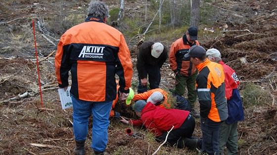 Aktivt Skogbruk