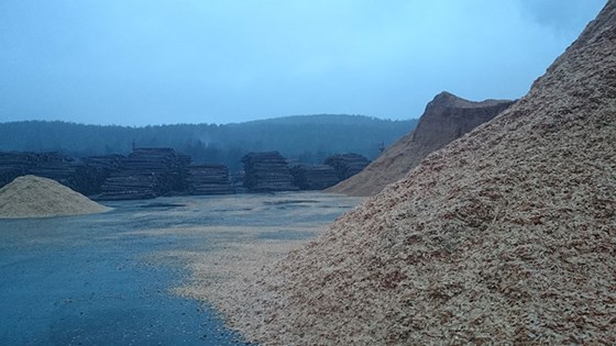 Trevirke og bioenergi er områder med potensiale for økt verdiskaping på Agder. 