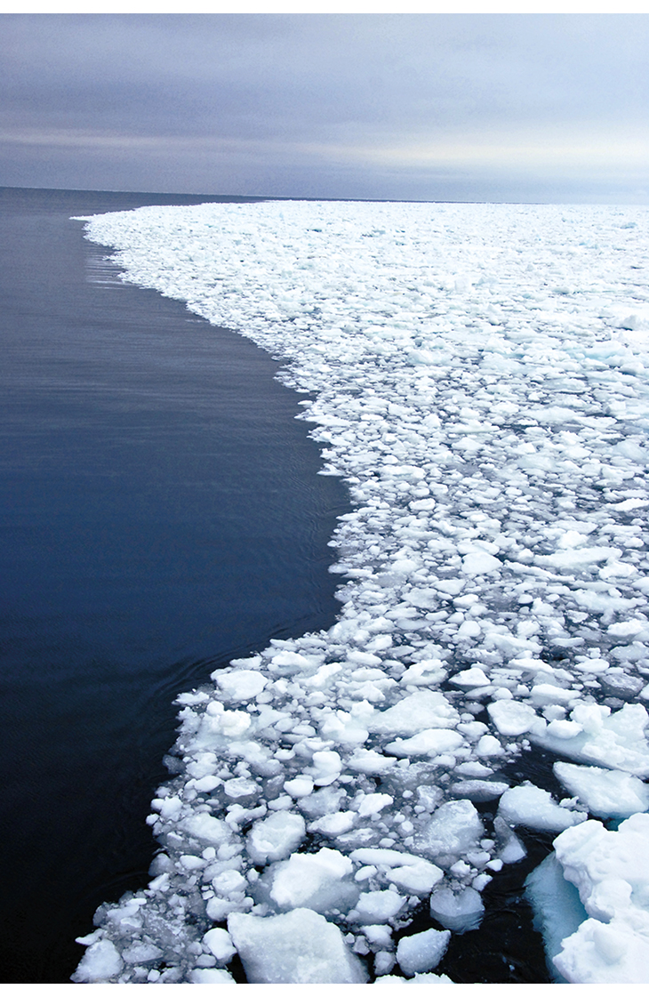 Figure 2.1 Aerial photo of the marginal ice zone in summer.
