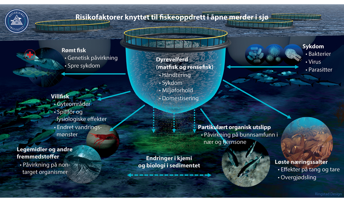 Figur 4.8 Påvirkning fra akvakultur
