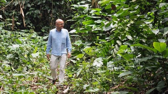 Vidar Helgesen i regnskogen