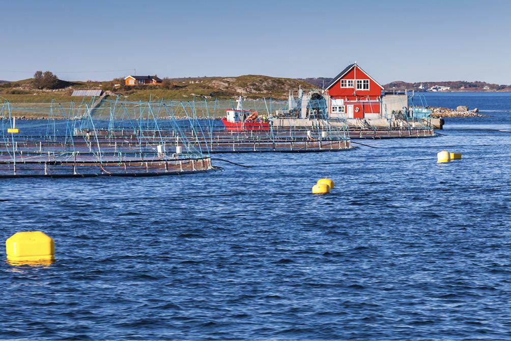 Oppdrettsanlegg i Trøndelag. Foto: Colourbox