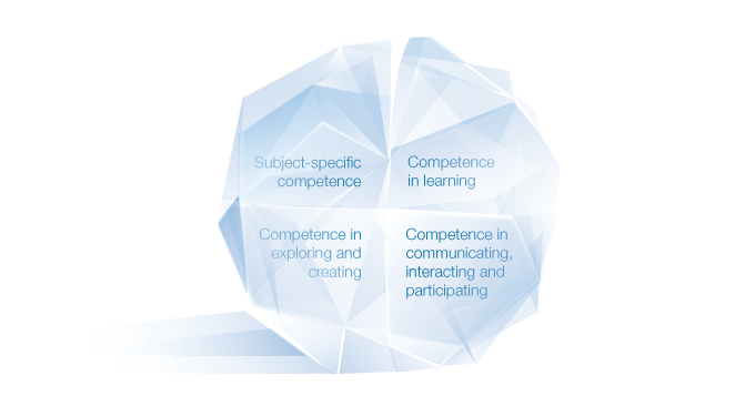 Figure 2.2 The four competence areas