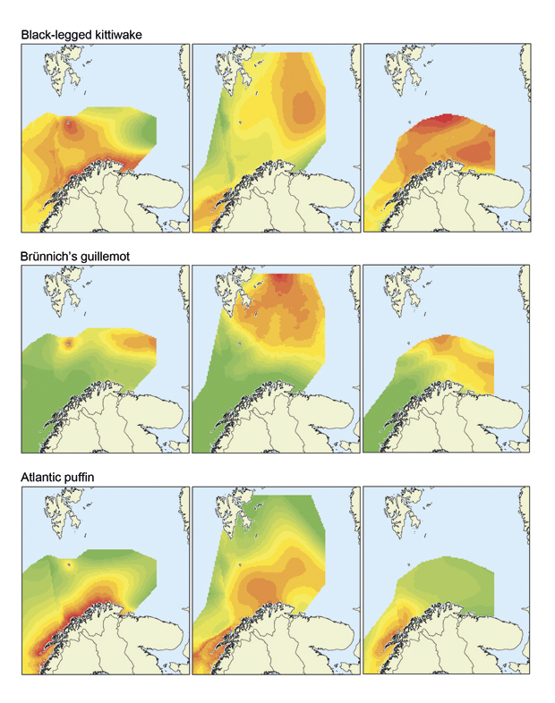Figure 3.15 Distribution of seabirds (black-legged kittiwake, Brünnich’s guillemot and Atlantic puffin) in the open sea at different times of year. The maps show the situation in summer, autumn and winter. Green: low density. Red: high density