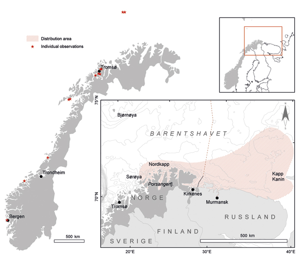 Figure 3.18 Bycatches of snow crabs by fishing vessels (black stars) and during surveys by the Institute of Marine Research (circles) in the period 2004–10. The size of the circles indicates the relative number of crabs caught at each position