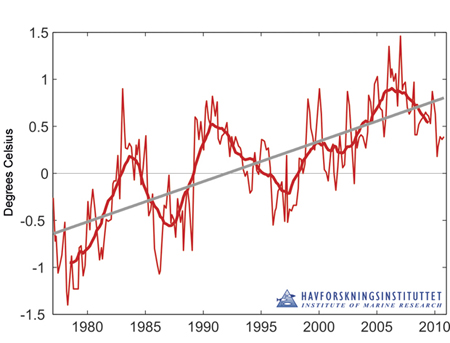 Figure 3.5 Temperature anomaly in the core of the Atlantic water flowing into the Barents Sea in the period 1977–2010. The figure shows measured values (thin red line), the 3-year moving average (thick red line), the linear trend for the whole period (bold grey...