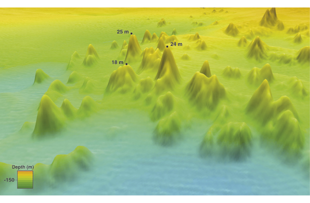 Figure 6.1 3D map showing a group of coral reefs in the Hola area off the Vesterålen Islands. The numbers indicate the height of some of the reefs.