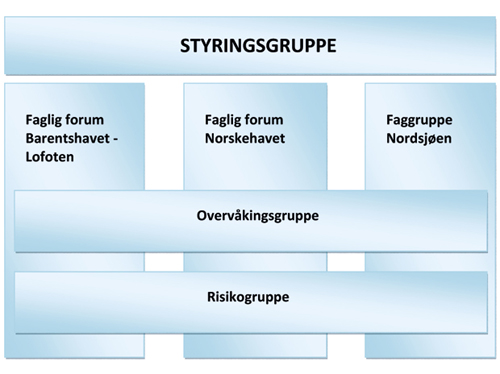 Figur 2.3 Styringsstruktur for arbeidet med forvaltningsplanene