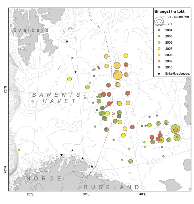 Figur 3.19 Bifangster av snøkrabbe gjort av fiskefartøyer (sort stjerne) og på Havforskningsinstituttets tokt (sirkler) i tidsrommet 2004 – 2010. Størrelsen på sirklene angir relativ antall krabber tatt i de enkelte posisjonene
