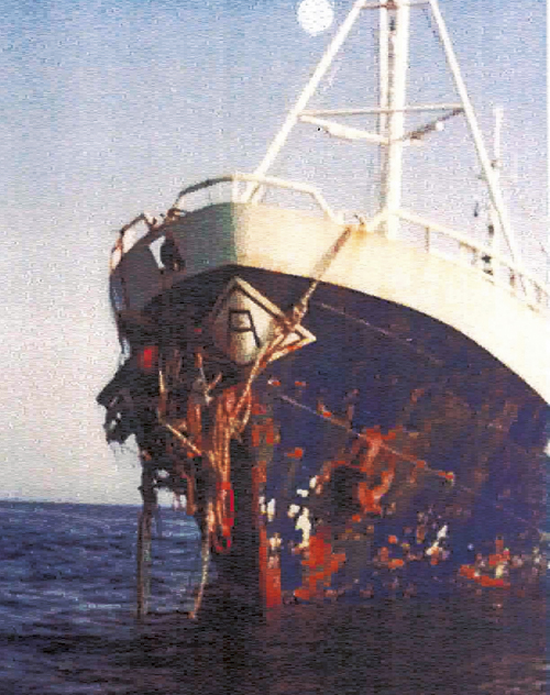 Figur 6.20 Vrakdeler som kom opp sammen med notlin under hevingsforsøk
 i mai 1981