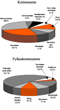 Figur 5.4 Sammensetningen av kommunesektorens utgifter. 2003