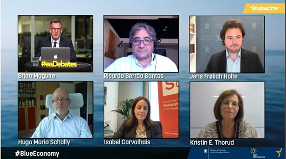 Bilde av panelister og moderator på hav-webinaret.