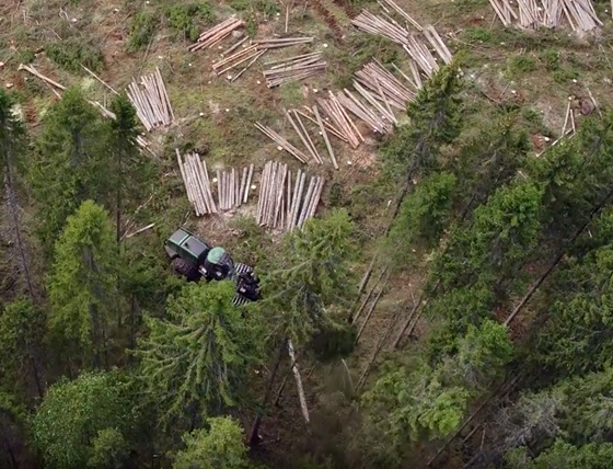 Hogst - fra filmen om Østfoldlandbruket.