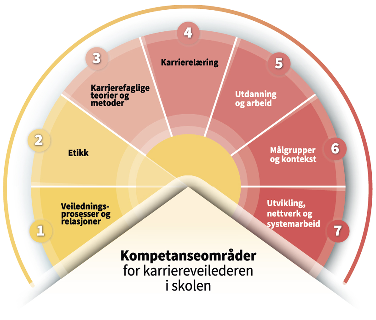Figur 6.1 Kompetansestandarder for karriereveileder i skolen