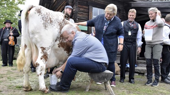 Landbruksminister Bård André Hoksrud melker ei ku i melkekonkurransen på Dyrsku'n i Seljord 2018.