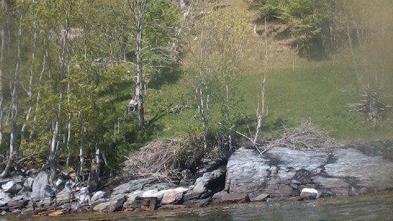Gjuvstadlia, Hordaland