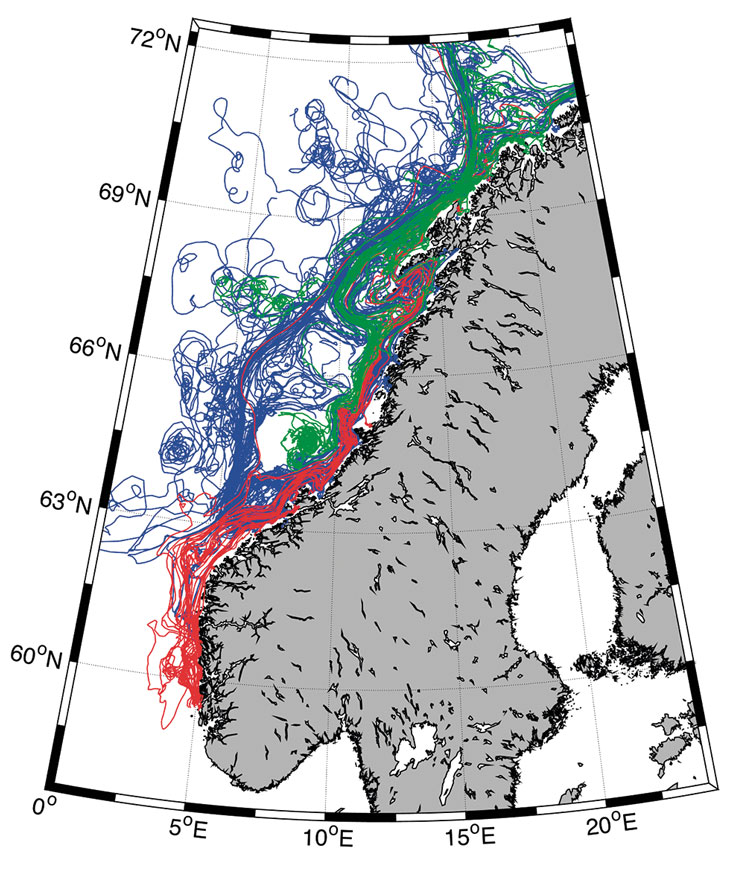 Figure 3.16 Transport of herring larvae with the currents from spawning grounds off Møre og Romsdal (blue) and more southerly (red) and northerly (green) areas in 2006.