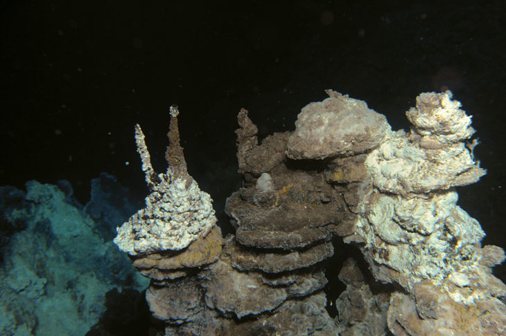 Figure 3.8 These ‘black smokers’ on the Mid-Atlantic Ridge between Jan Mayen and Bjørnøya are hydrothermal vents formed by the deposition of metal-rich sulphide minerals.