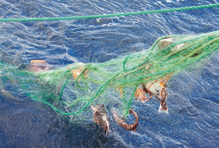 Figure 4.2 Lost fishing gear being hauled on board during a retrieval operation.
