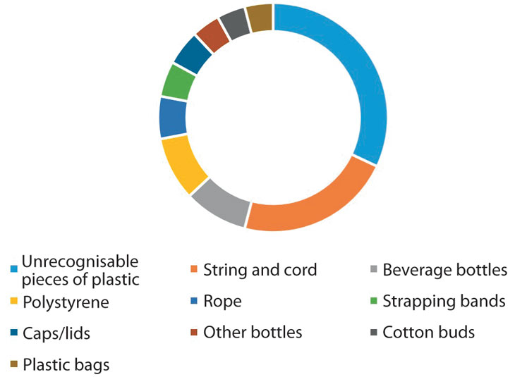 Figure 4.5 The ten largest fractions of plastic litter found during national beach clean-up campaign in Norway in 2016 (shares by number of items).
