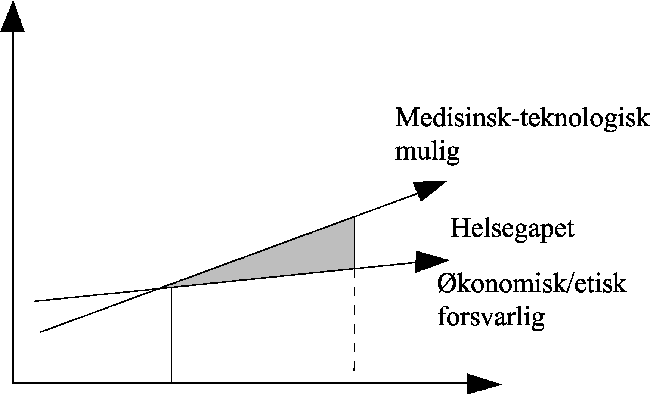 Figur 3.3 «Helsegapet»