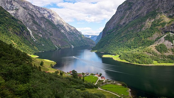 Næryøyfjorden. Sogn og Fjordane. Næryøyfjorden. Sogn og Fjordane.