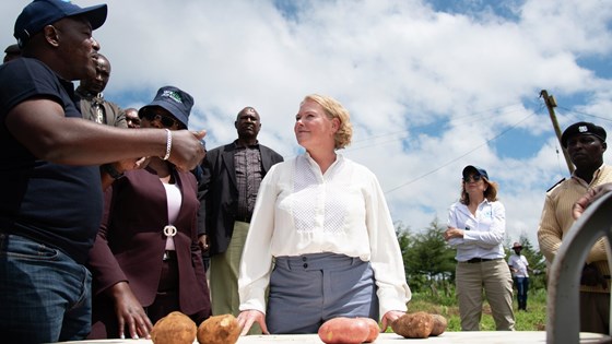 Bilde av utviklingsministeren bak et bord med poteter. I samtale med en bonde