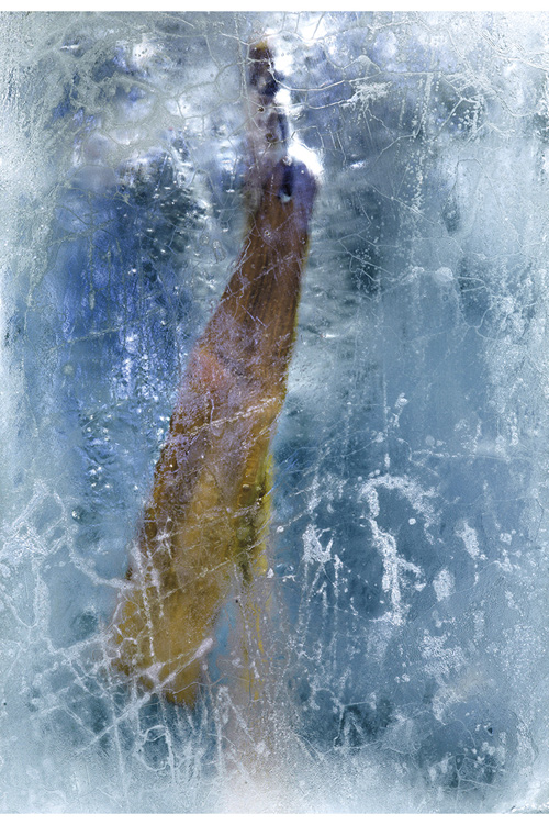 Figure 3.9 Reindeer scare-stick emerging from the Juvfonna glacier, Jotunheimen.
