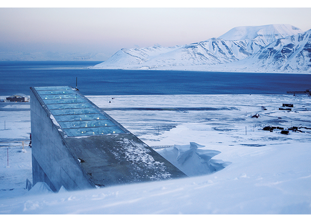 Figur 8.1 Longyearbyen, Svalbard globale frøhvelv