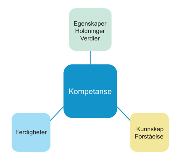 Figur 2.1 Kompetanse