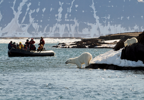 Figure 9.2 Woodfjord. A chance encounter with polar bears.