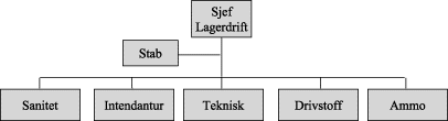 Figur 8.4 Forslag til organisering av lagerdrift