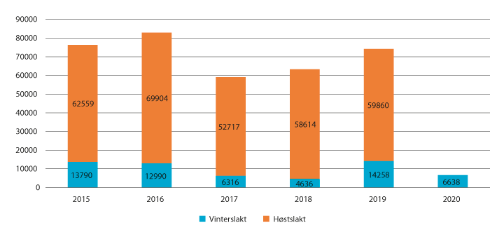 Figur 4.6 Antall slakt til slakteri 2015 – 2020 (tall per 24. mars 2020)