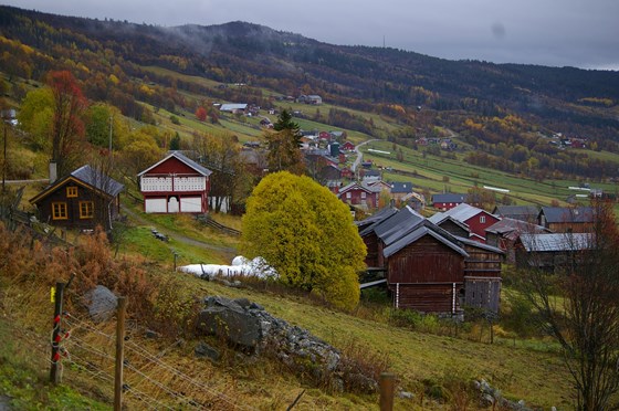 Leveld er ei bygd med eit aktivt jordbruk. Av totalt ca. 6 000 daa blir rundt 4 000 daa brukt som innmarksbeite, 1 700 daa er fulldyrka areal og resten skog. Leveld er ei bygd med eit aktivt jordbruk. Av totalt ca. 6 000 daa blir rundt 4 000 daa brukt som innmarksbeite, 1 700 daa er fulldyrka areal og resten skog.