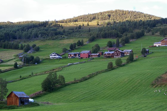 Leveld er eit rikt og variert kulturlandskap med mange smale teigar som blir skilde frå kvarandre med steingjerde, enkelte opp heile lia. Leveld er eit rikt og variert kulturlandskap med mange smale teigar som blir skilde frå kvarandre med steingjerde, enkelte opp heile lia.