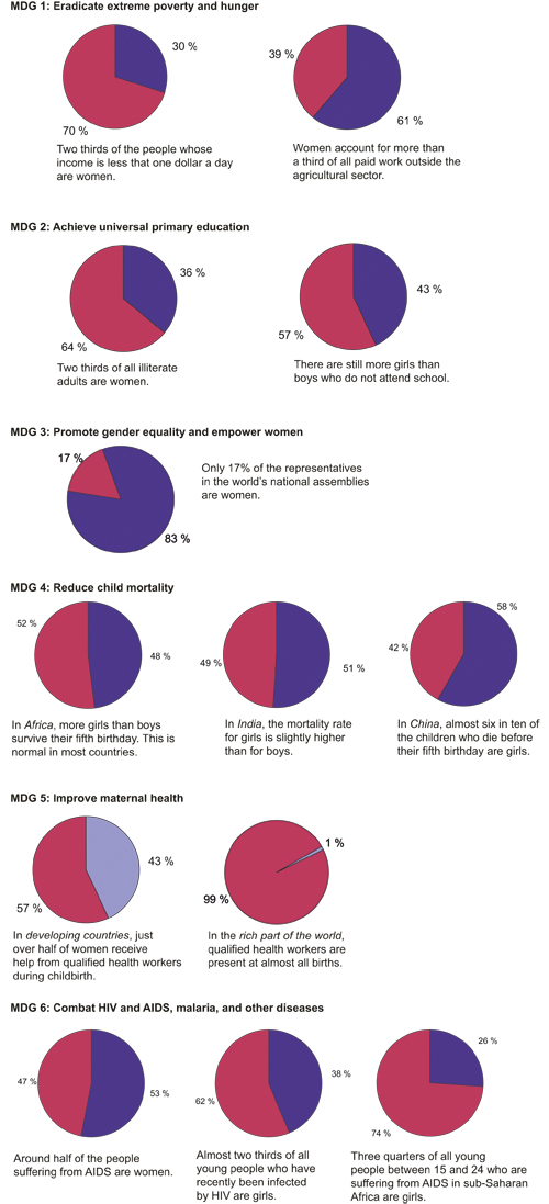 Figure 1.1 There are no statistics that show the gender distribution
for MDG 7 on ensuring environmental sustainability or for MDG 8
on developing a global partnership for development.