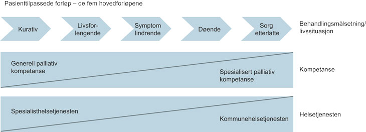 Figur 1.2 Behovet for spesialisert kompetanse