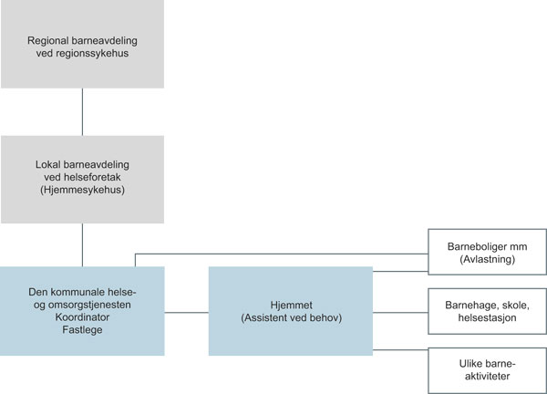 Figur 9.2 Dagens organisering av barnepalliasjon