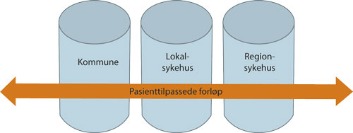 Figur 9.3 Pasienttilpassede forløp