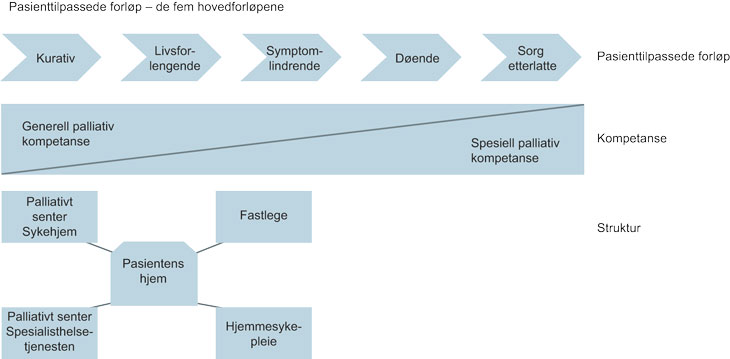 Figur 9.4 Pasienttilpassede forløp