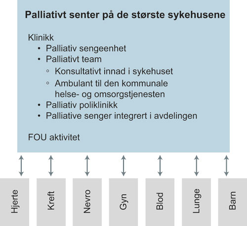 Figur 9.5 Organisering av palliasjon på sykehus (alternativ 1)