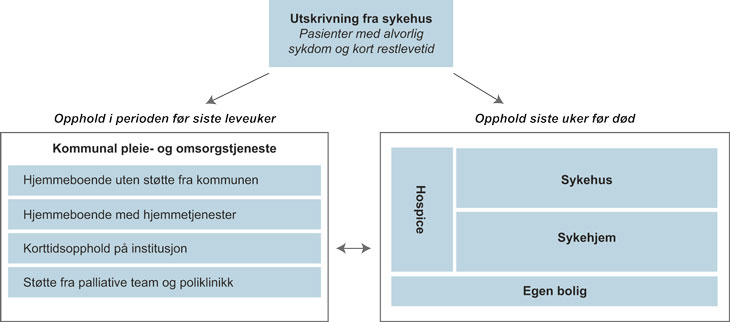 Figur 2.12 Plass i behandlingstilbudet