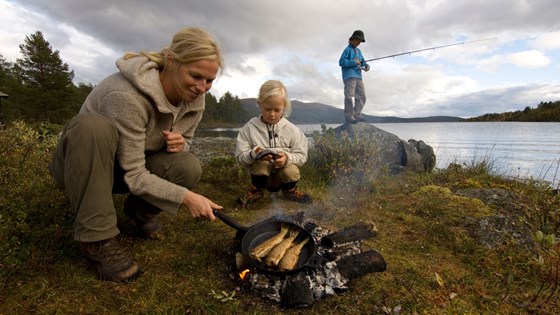 Sal av jakt- og fiskeretter har til dømes stor økonomisk betydning for mange grunneigarar.